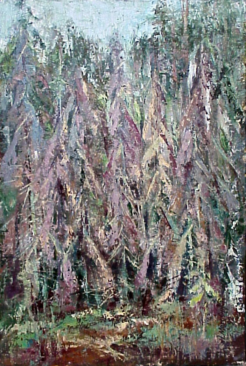 65. Сухие ели 50x35. 1996